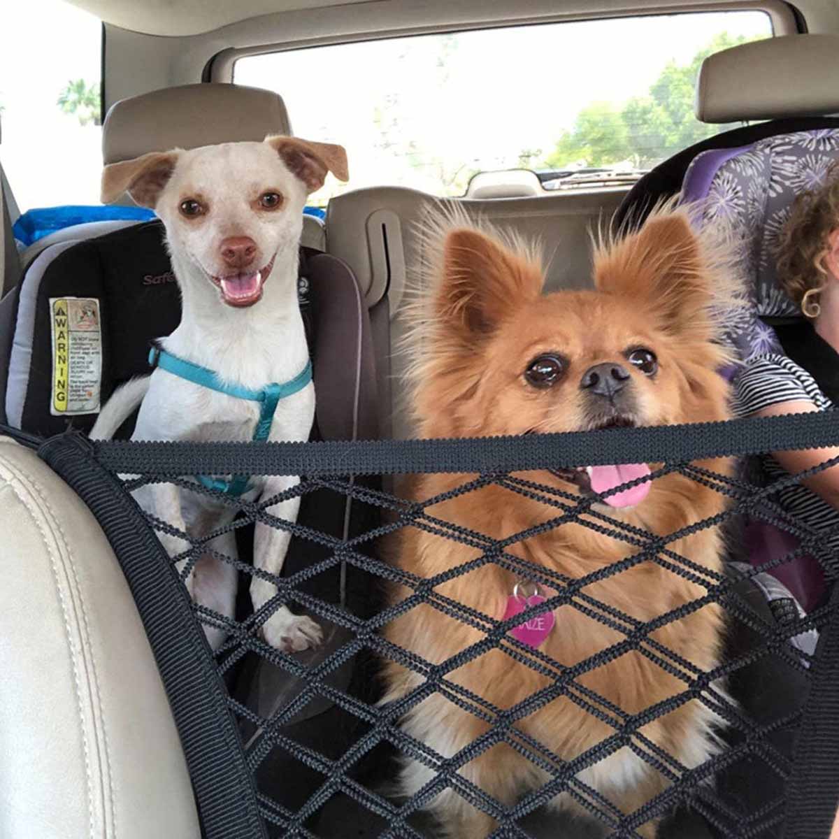 Hond Achterbank Auto Hek Hond  - Partition Screen Divider recensie en prijs
